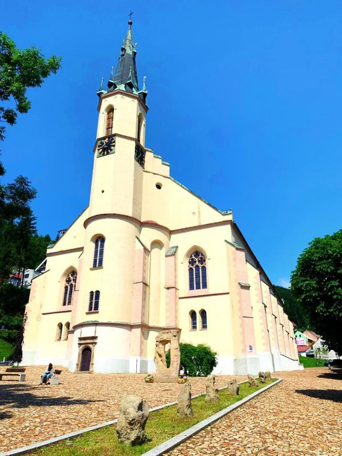 Casa Santini Villa Jáchymov Exterior foto